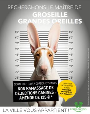 Panneau Les Crottes C'est Dans Le Sac Signalétique (REFAB1326