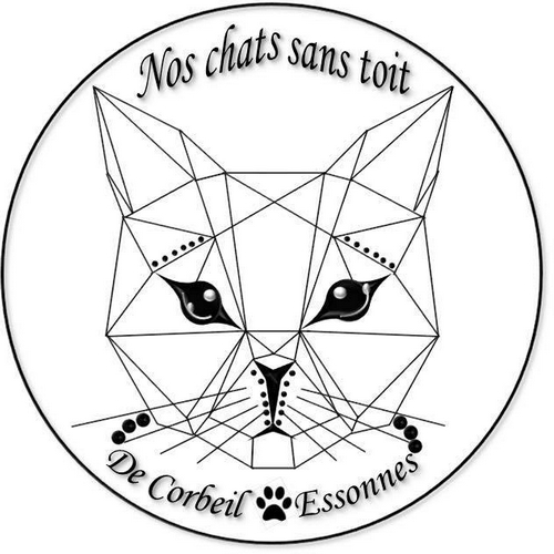 Association Nos Chats Sans Toit Corbeil Essonnes Association Nos Chats Sans Toit Corbeil Essonnes